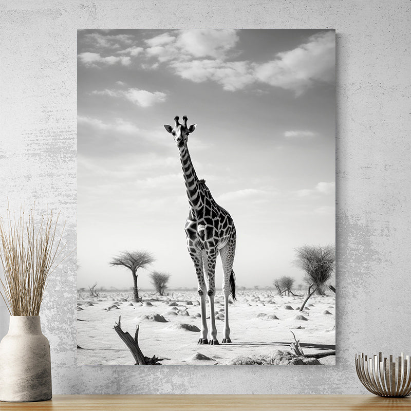 Tableau Girafe Photo Ancienne