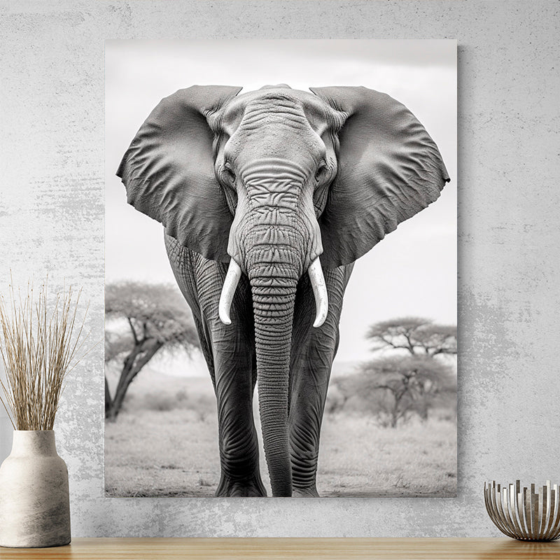 Tableau Elephant Photo Ancienne Noir Et Blanc