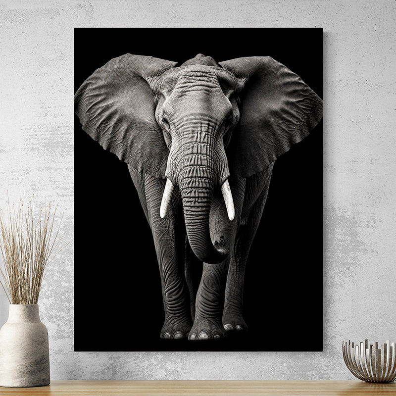 Tableau Animaux Noir Et Blanc