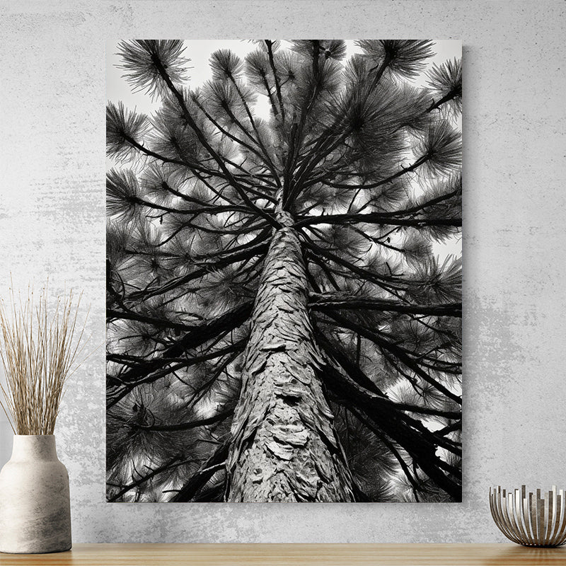 Tableau Noir Et Blanc Arbre