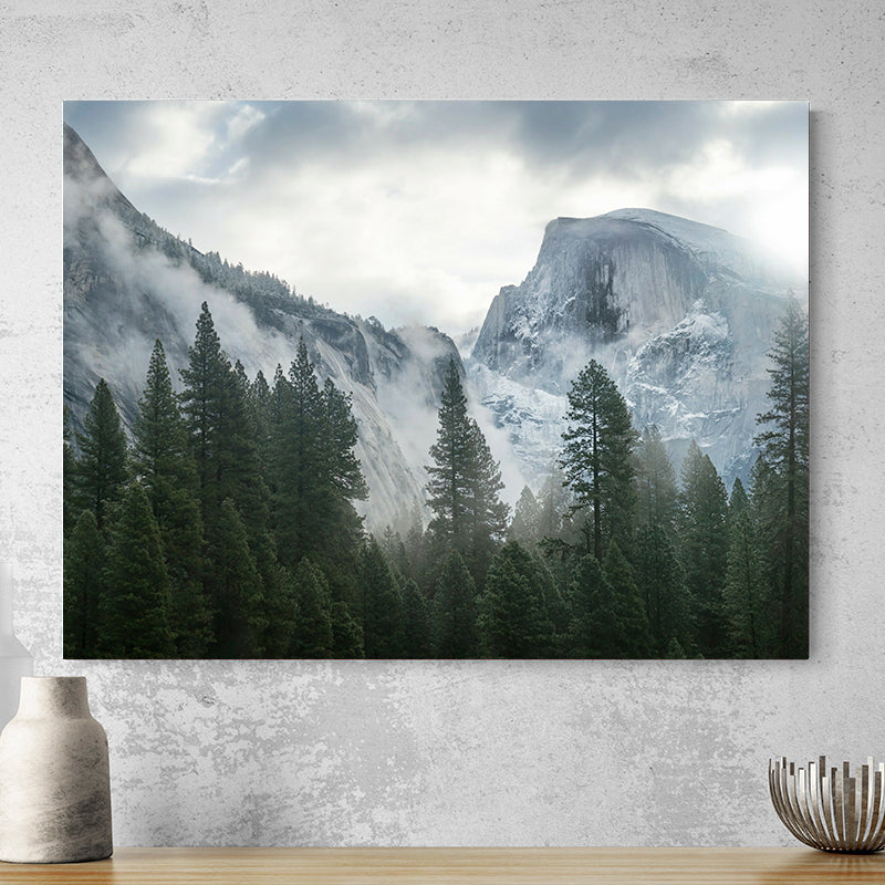 Tableau Paysage Forêt