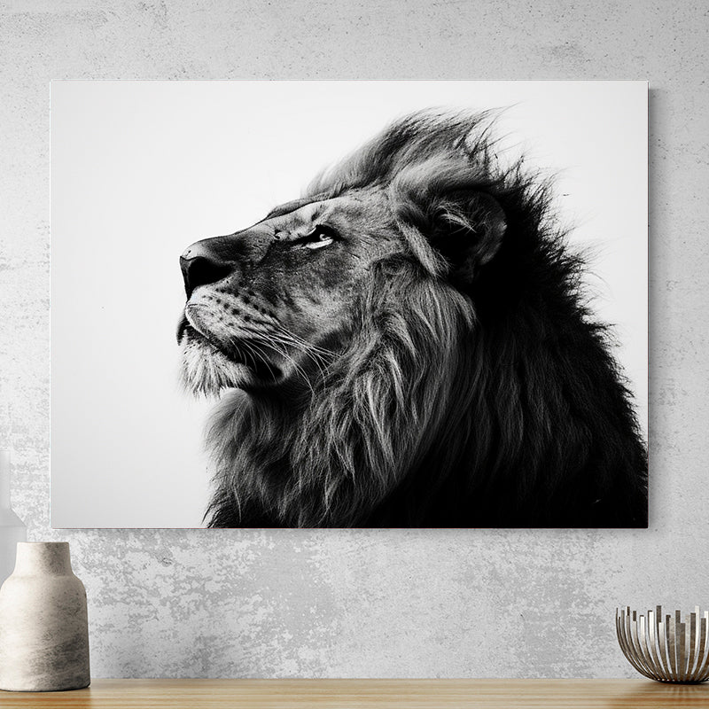 Tableau Animaux Afrique Noir Et Blanc Lion