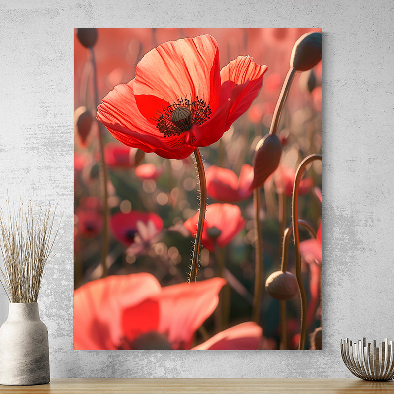 Tableau Fleur Coquelicot
