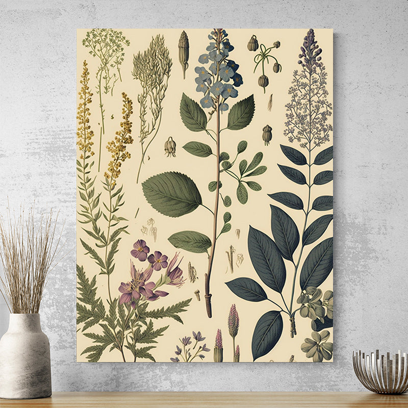 Tableau Vintage Botanique
