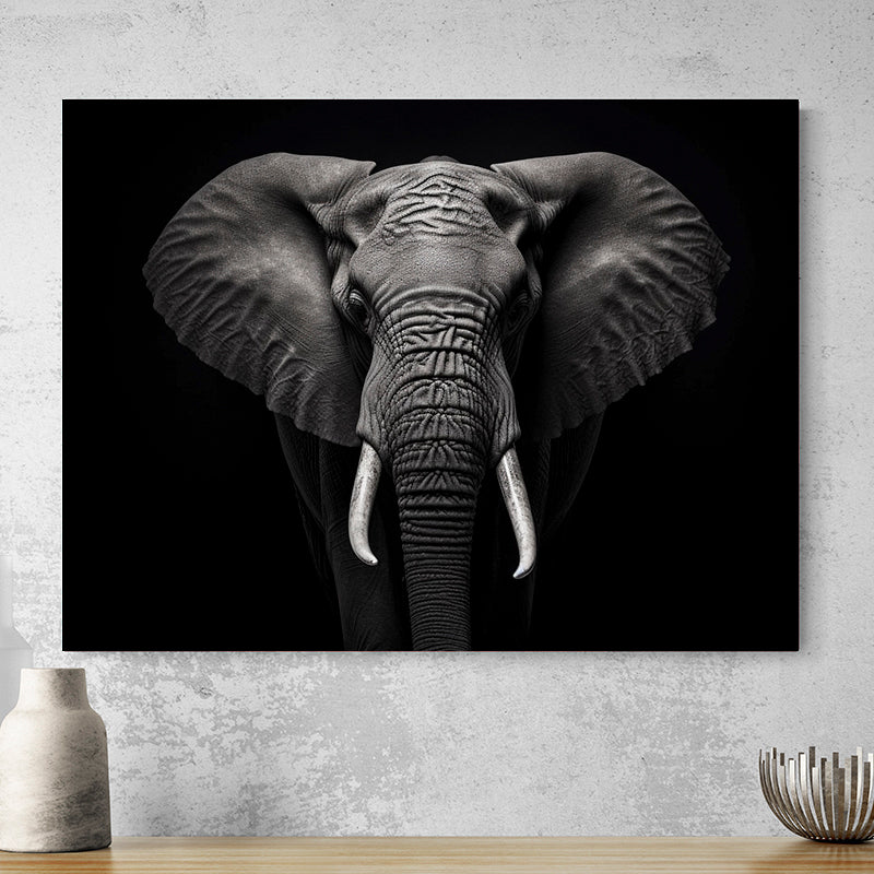 Tableau Noir Et Blanc Elephant