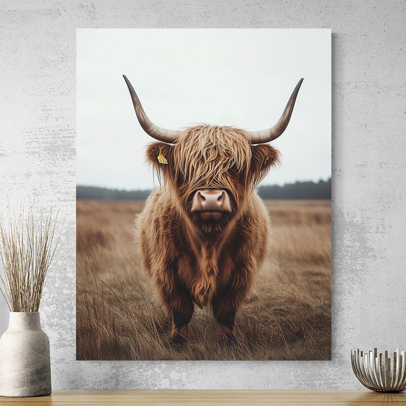 Tableau Animal Vache Ecossaise