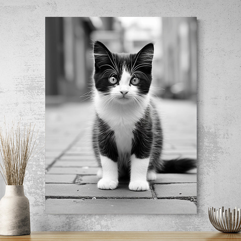 Tableau De Chat Noir Et Blanc
