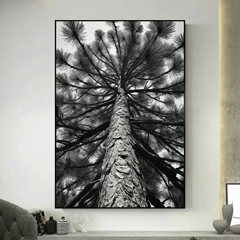 tableau noir et blanc arbre