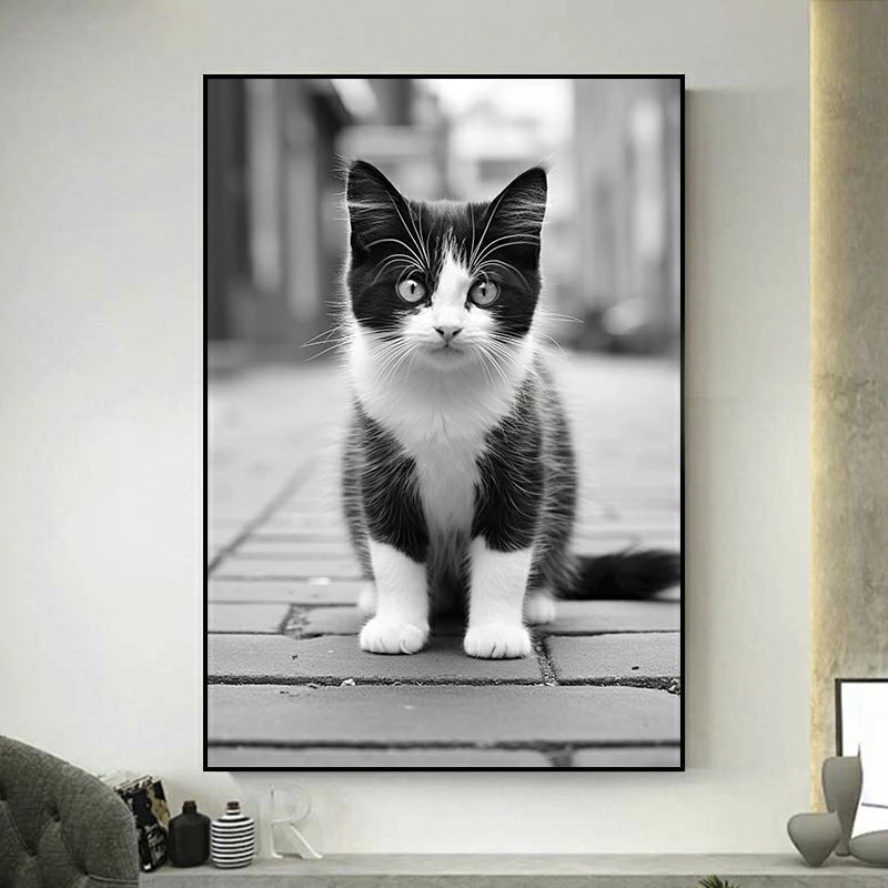 tableau chat en noir et blanc