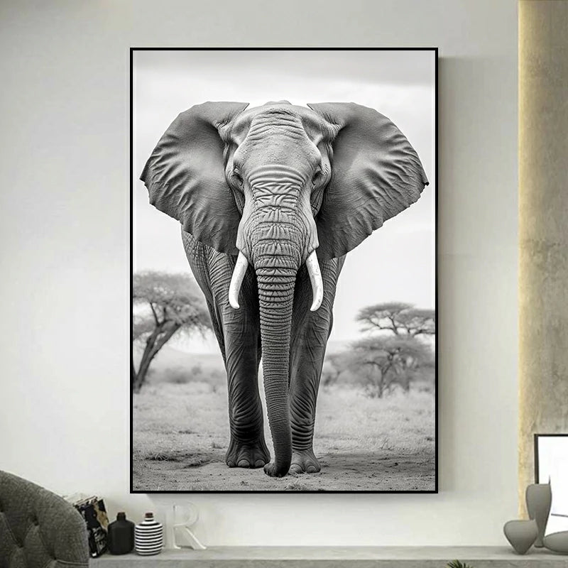 Tableau Elephant Photo Ancienne Noir Et Blanc