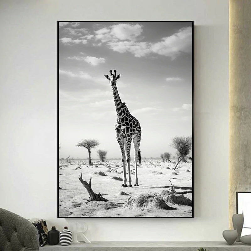 tableau girafe photo ancienne
